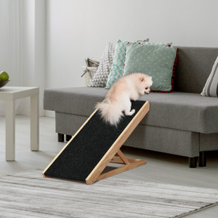 Retractable sales dog ramp